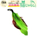 PET PINA 猫 じゃらし おもちゃ 交換用 羽タイプ グリーン【当店にて1,000円以上のご購入で送料無料】