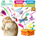 【選べる 猫じゃらし セット】PET PINA 猫 おもちゃ ワイヤー 釣竿 タイプ 猫玩具 猫オモチャ 猫のおもちゃ 猫グッズ 羽 虫 ボール しっぽ ねずみ ひも イモムシ 鳥 鈴 ストレス解消 運動不足解消 コンパクト