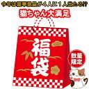 【福袋 2024年 総額30,000円以上 今年は4人に1人豪華景品が抽選で当たる！?】 にゃんでも ...