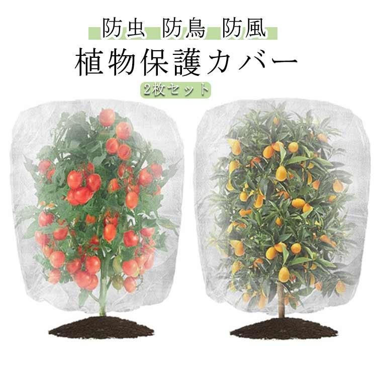 防虫ネット2枚入り園芸ネット防鳥ネ...