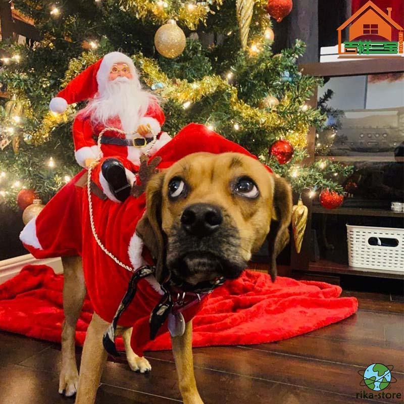 ǭ�� ���� ���� �İ������󥿥������� �ڥå��� �ѿȥ������塼�� ������� �夰��� ǭ �� ���� �Ȥ��� �դ�դ� �ɴ� ���ꥹ�ޥ� ���󥿤��� �ѿ���