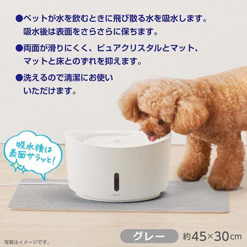 �ԥ奢���ꥹ���� ����ʤ��ۿ�ޥå�(1��)