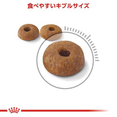 ロイヤルカナン フィーライン ケア ニュートリション ダイジェスティブケア(4kg×4...