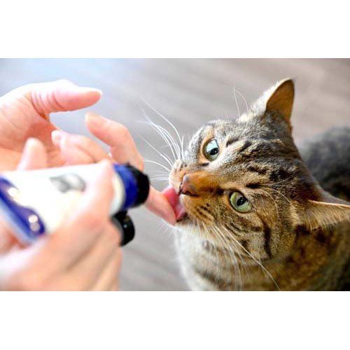 アクティブマヌカハニー 猫用(50g×2セット)