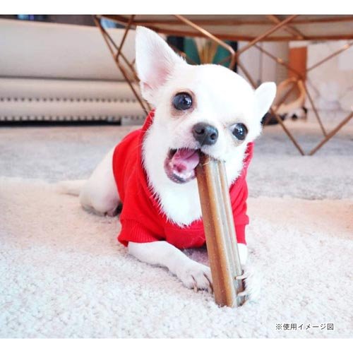 グディーズ デンタルバー mini チキン(3本入×6セット)