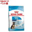 CJi TCYwXj[gV }LV ps[(15kg)yd_rczyd_rc15pointzyCJi(ROYAL CANIN)z[hbOt[h]