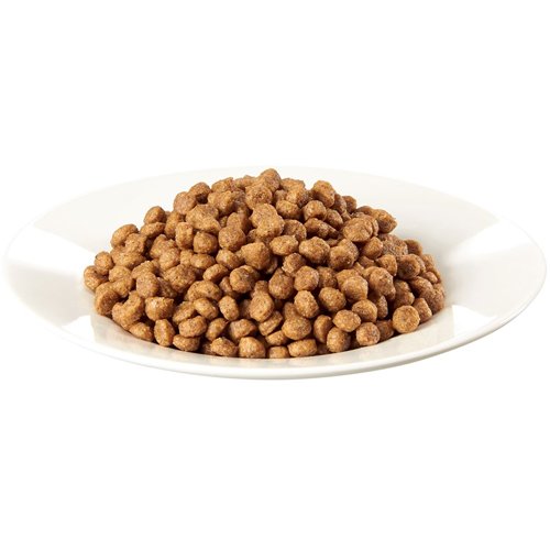 シーザー ドライ 成犬用 チキンと4種の農園野菜入り 超小粒(700g*6袋セット)【シーザー(ドッグフード)(Cesar)】