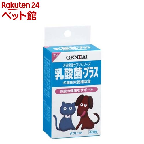 乳酸菌プラス おなかの健康(48粒入)