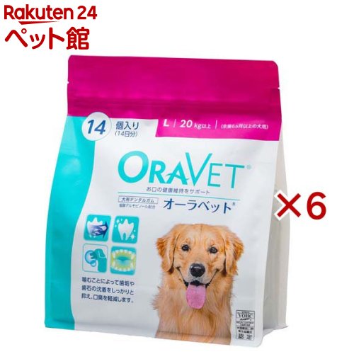 ������٥å� ���ѥǥ󥿥륬��L(14������6���å�)�ڥ�����٥åȡ�