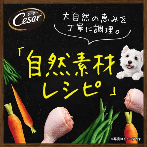 サンプル画像3