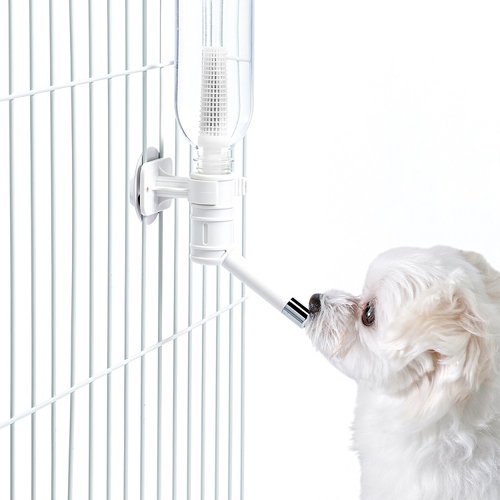 ザ・パーフェクトワン 水素サーバーエコボトル 犬用(6セット)