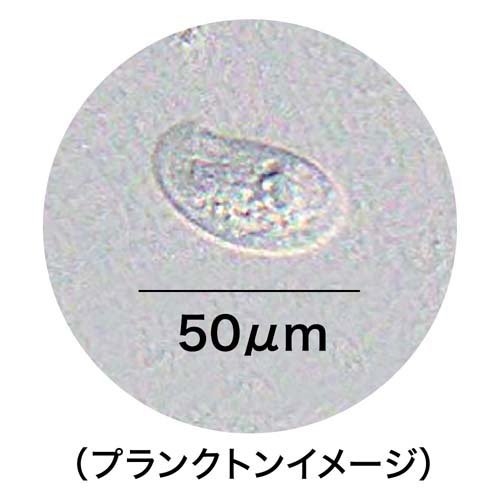 ��������� �������ץ�󥯥ȥ�ա���(48���å�)