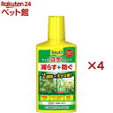テトラ コケブロック(250ml×4セット)【Tetra(テトラ)】