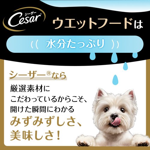 サンプル画像3