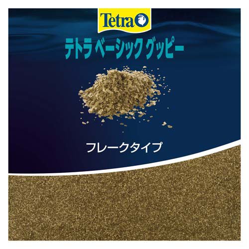 �ƥȥ� �١����å� ���åԡ�(60g��108���å�)��Tetra(�ƥȥ�)��