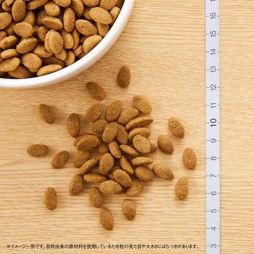 サンプル画像2