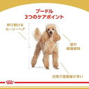 ロイヤルカナン ブリードヘルスニュートリション プードル 成犬用(3Kg)【d_rc】【d_rc15point】【ロイヤルカナン(ROYAL CANIN)】[ドッグフード] 2