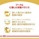 ロイヤルカナン ブリードヘルスニュートリション プードル 成犬用(3Kg)【d_rc】【d_rc15point】【ロイヤルカナン(ROYAL CANIN)】[ドッグフード] 3