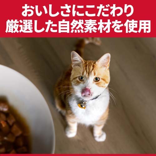 キャットフード 敏感なお腹と皮膚の健康サポート 猫 1歳以上 チキン ドライ(2.5kg*4袋セット)【dl_2206sstwen】【サイエンスダイエット】