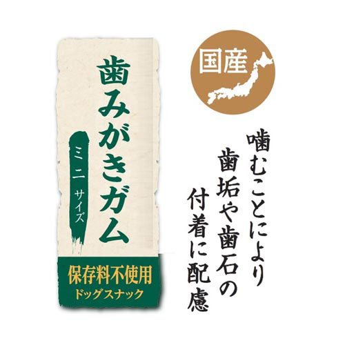 サンプル画像3