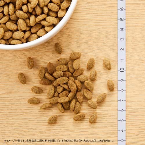 サンプル画像2