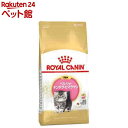 ロイヤルカナン FBN ペルシャ・チンチラ・ヒマラヤン 子猫用(2Kg)【d_rc】【d_rc20】【ロイヤルカナン(ROYAL CANIN)】[キャットフード]