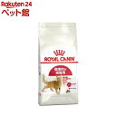 CJi tB[CwXj[gV tBbg(4kg)yd_rczydalc_royalcaninzyCJi(ROYAL CANIN)z[Lbgt[h]