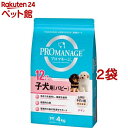 プロマネージ 12ヶ月までの子犬用 パピー(4kg 2袋セット)【プロマネージ】