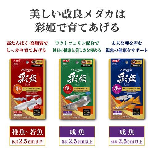 ��������� ��ɱ �˾�(100g��36���å�)