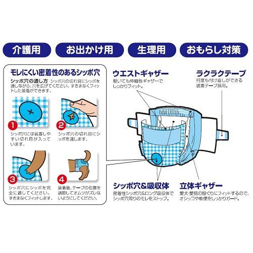サンプル画像2