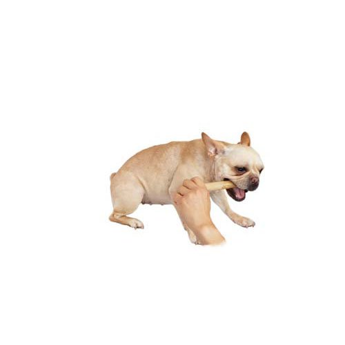 ���ե����塼���å� L(6���å�)