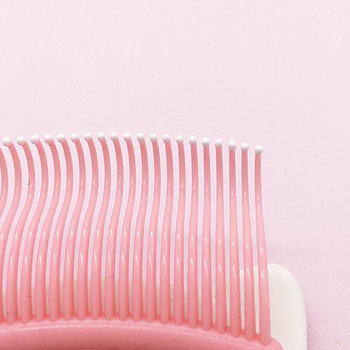 ����ƥ��������� ���꡼�˥� ��ݤˤ��餫������(12�ĥ��å�)�ڥ���ƥ����ޥ��