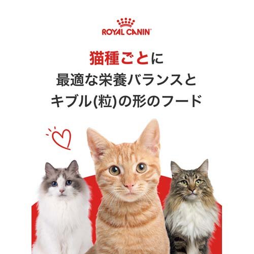 ロイヤルカナン FHN ウェット インドア 7+ グレービー(85g*24袋セット)【ロイヤル...
