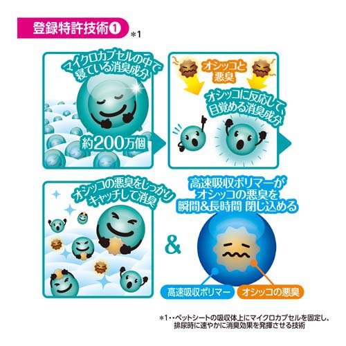 �ǥ������� Premium 12����Ķ�ý���Ķ�ۼ� �磻��(42����*2�ޥ��å�)��ahdeo2203�ۡڥǥ������ȡ�