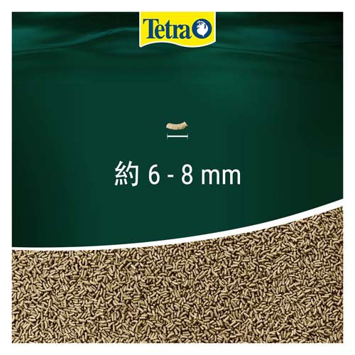 テトラ レプトミン 中粒(70g×12セット)【Tetra(テトラ)】