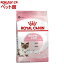 ֥륫ʥ ե饤إ륹˥塼ȥꥷ ޥ٥ӡå(2kg)d_rcۡdalc_royalcaninۡڥ륫ʥ(ROYAL CANIN)[åȥա]פ򸫤