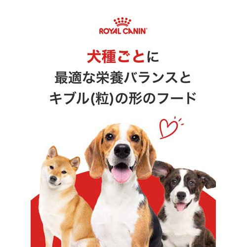 ロイヤルカナン ミニ インドア シニア 8歳以上(3.5kg)【ロイヤルカナン(ROYAL CANIN)】[ドッグフード] 3