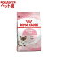 륫ʥ ե饤إ륹˥塼ȥꥷ ޥ٥ӡå(4kg)d_rcۡd_rc15pointۡdalc_royalcaninۡڥ륫ʥ(ROYAL CANIN)[åȥա]