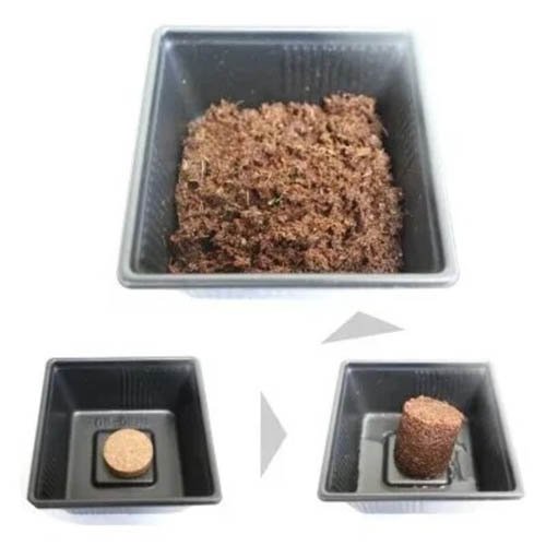 �ͤ������ ���̥����䥷���� �ͤ��ؤ��� B227(5����)