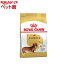 륫ʥ ֥꡼ɥإ륹˥塼ȥꥷ åե (1.5kg)d_rcۡd_rc15pointۡڥ륫ʥ(ROYAL CANIN)[ɥåա]