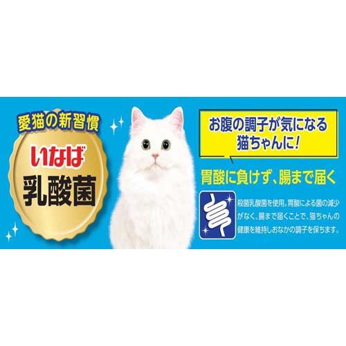 サンプル画像2