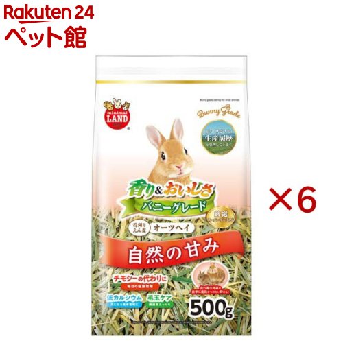 �Хˡ����졼�ɥ����ĥإ�(500g��6���å�)�ڥߥ˥ޥ���ɡ�