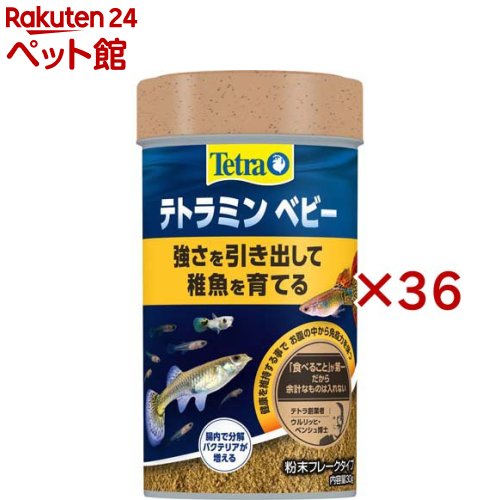 �ƥȥ�ߥ� �٥ӡ�(30g��36���å�)��Tetra(�ƥȥ�)��