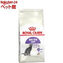 CJi FHN XeACYh DEő₷Lp 12Jȏ(400g)yCJi(ROYAL CANIN)z