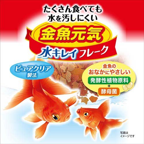金魚元気 水キレイフレーク(165g)