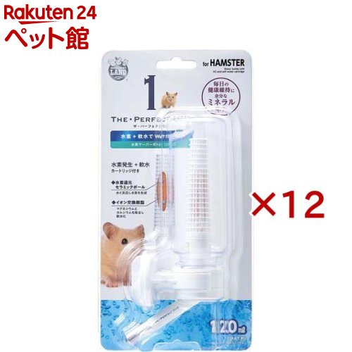 THE��PERFECT ONE ���ǥ����С��ܥȥ�120(12���å�)