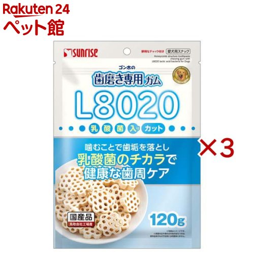 Chewing Gums - ゴン太の歯磨き専用ガム L8020乳酸菌入り カット(120g×3セット)【ゴン太】