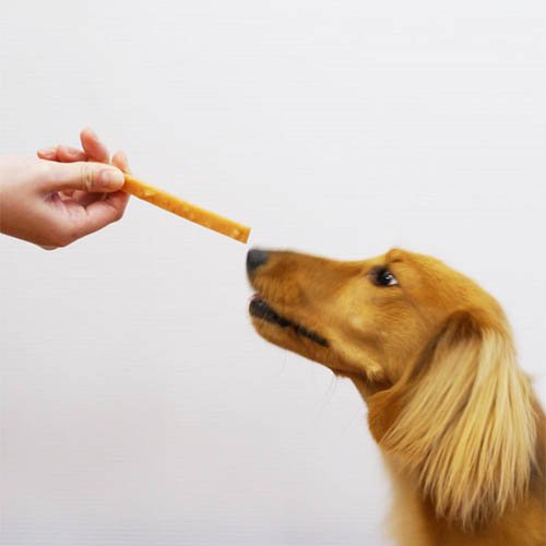 紗 チーズ入り(145g×3セット)【ドギーマン(Doggy Man)】 3