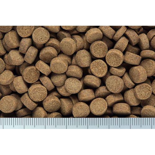 �Ҥ��� ���쥹�ȥե꡼�� �ܥȥॺ(900g��12���å�)�ڤҤ����