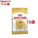 CJi u[hwXj[gV ` p(800g*10RZbg)yCJi(ROYAL CANIN)z[hbOt[h]